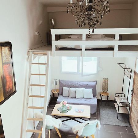 Loft Mandallaz - Au Coeur De La Ville Анси Экстерьер фото